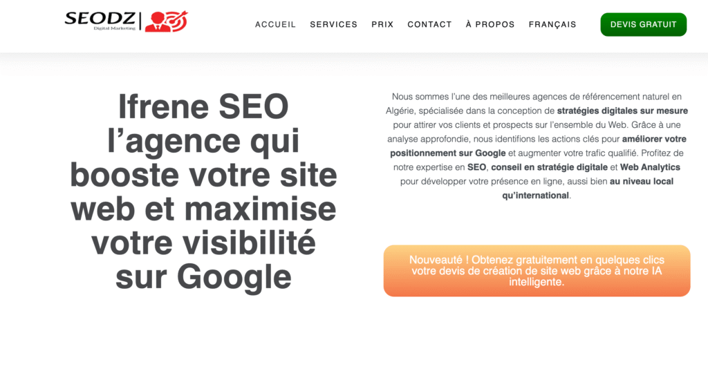 IFRENE-SEO & Marketing
