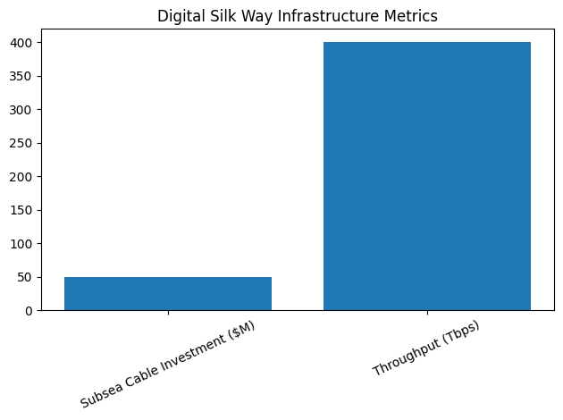 Digital Silk Way Infrastructure Metrics