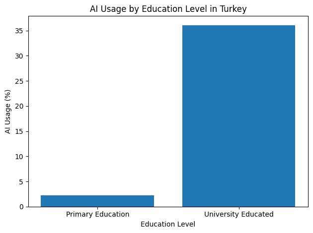 AI Usage By Education Level In Turkey